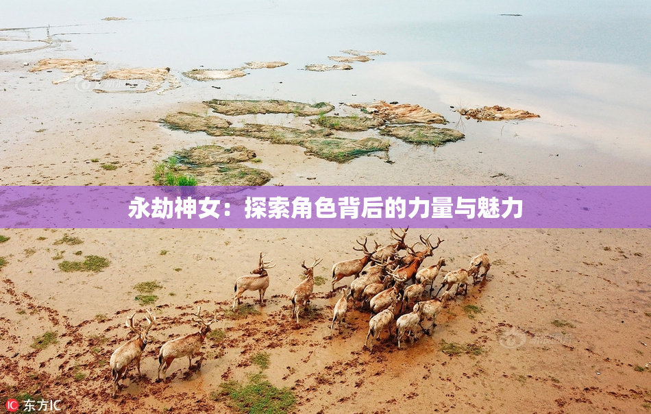永劫神女：探索角色背后的力量与魅力