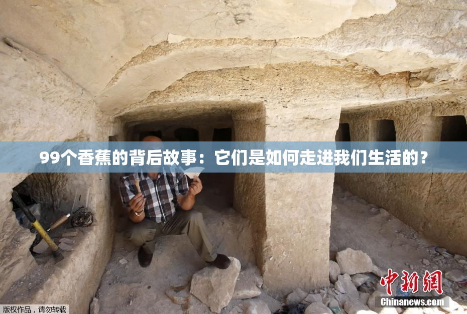 99个香蕉的背后故事：它们是如何走进我们生活的？