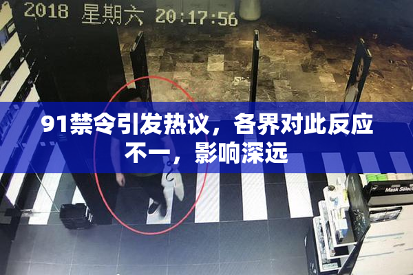 91禁令引发热议，各界对此反应不一，影响深远