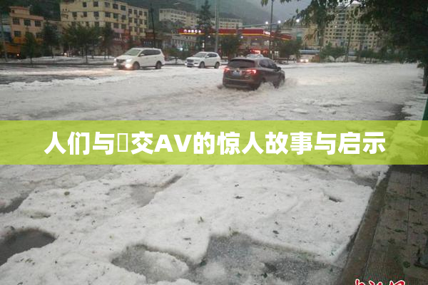 人们与嘼交AV的惊人故事与启示