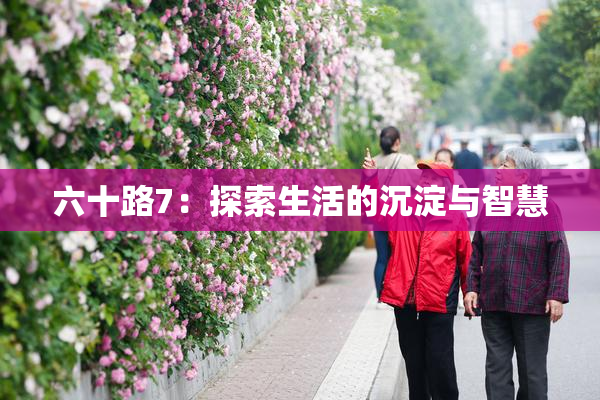 六十路7：探索生活的沉淀与智慧