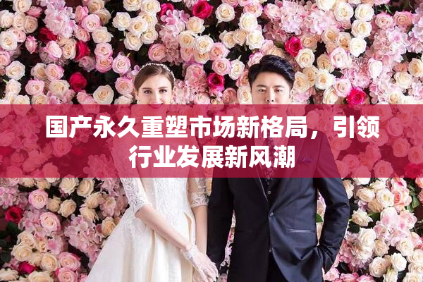 国产永久重塑市场新格局，引领行业发展新风潮