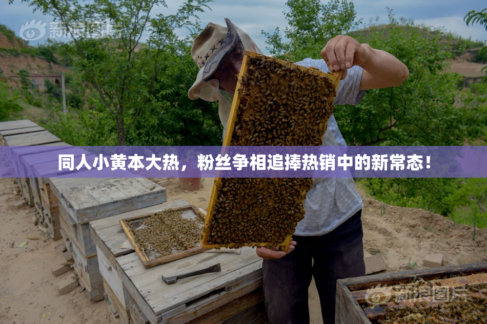 同人小黄本大热，粉丝争相追捧热销中的新常态！