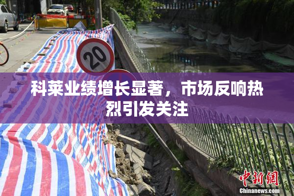 科莱业绩增长显著，市场反响热烈引发关注