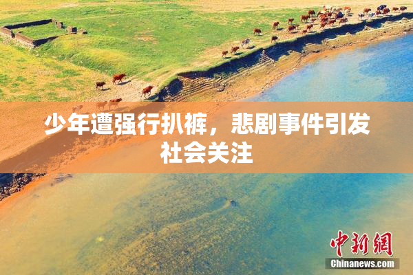少年遭强行扒裤，悲剧事件引发社会关注
