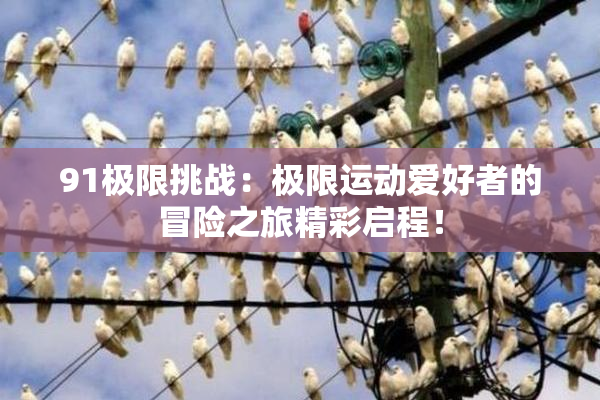 91极限挑战：极限运动爱好者的冒险之旅精彩启程！