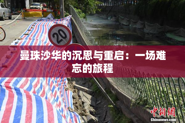 曼珠沙华的沉思与重启：一场难忘的旅程