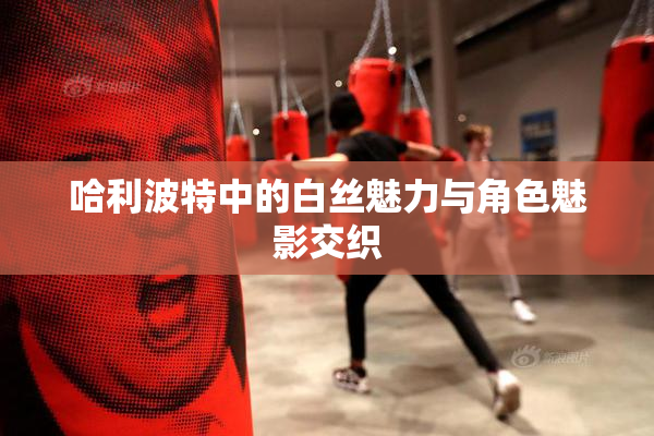 哈利波特中的白丝魅力与角色魅影交织
