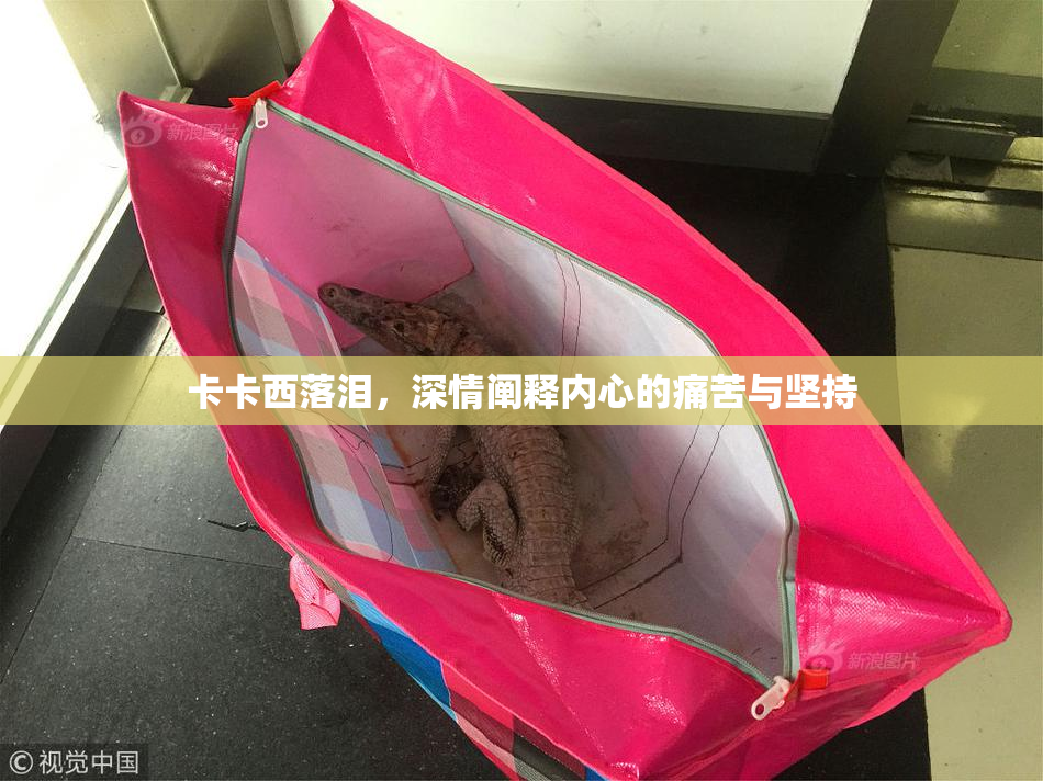 卡卡西落泪，深情阐释内心的痛苦与坚持