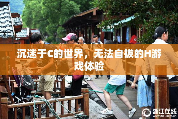 沉迷于C的世界，无法自拔的H游戏体验