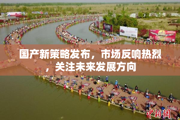 国产新策略发布，市场反响热烈，关注未来发展方向