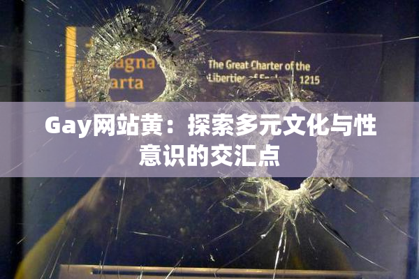 Gay网站黄：探索多元文化与性意识的交汇点