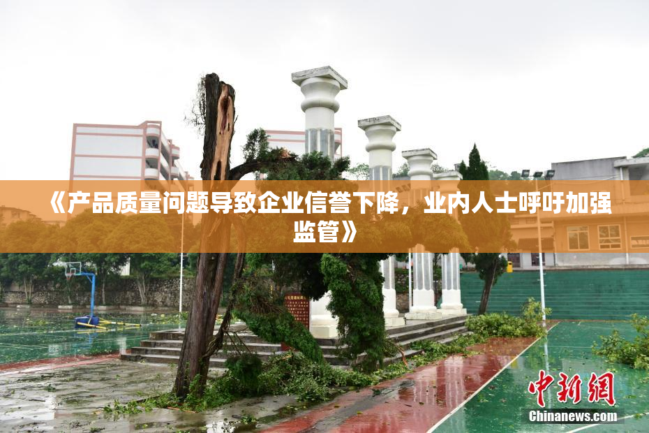 《产品质量问题导致企业信誉下降，业内人士呼吁加强监管》