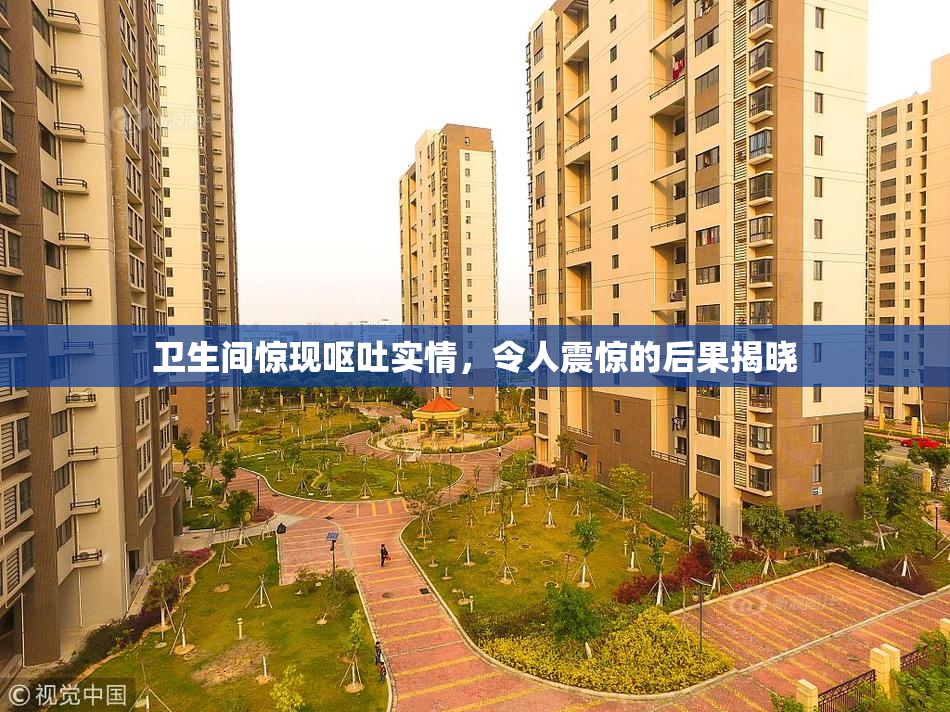 卫生间惊现呕吐实情，令人震惊的后果揭晓