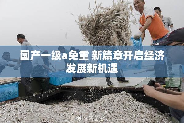 国产一级a免重 新篇章开启经济发展新机遇