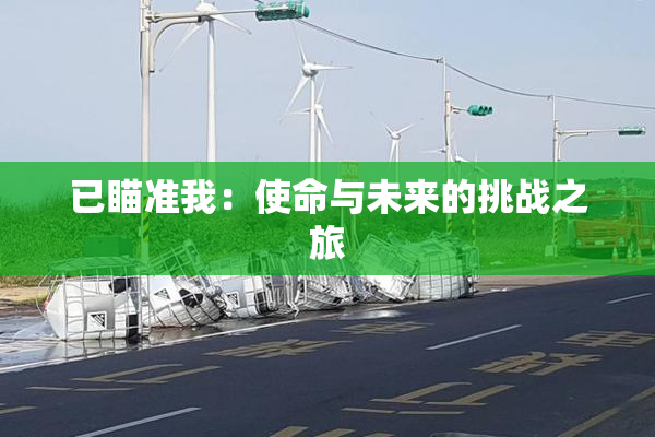 已瞄准我：使命与未来的挑战之旅