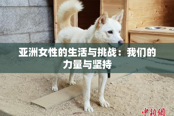 亚洲女性的生活与挑战：我们的力量与坚持
