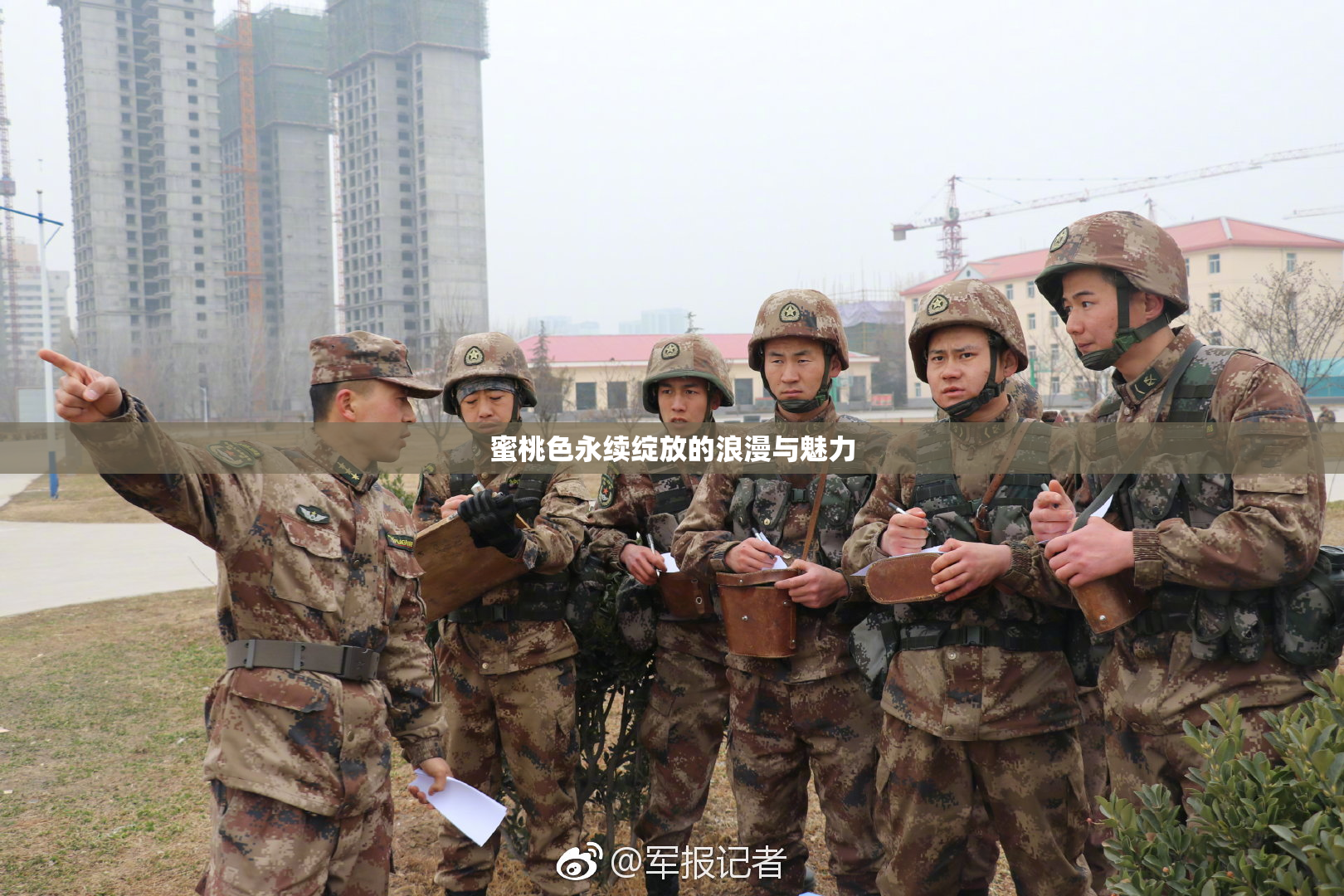 蜜桃色永续绽放的浪漫与魅力