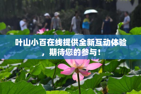 叶山小百在线提供全新互动体验，期待您的参与！