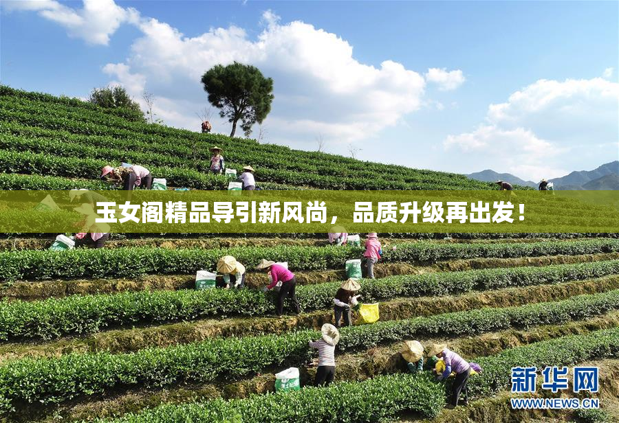 玉女阁精品导引新风尚，品质升级再出发！