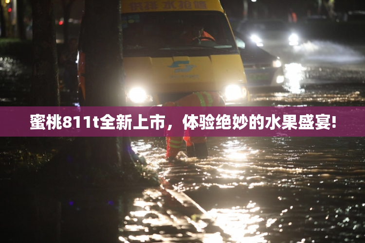 蜜桃811t全新上市，体验绝妙的水果盛宴!