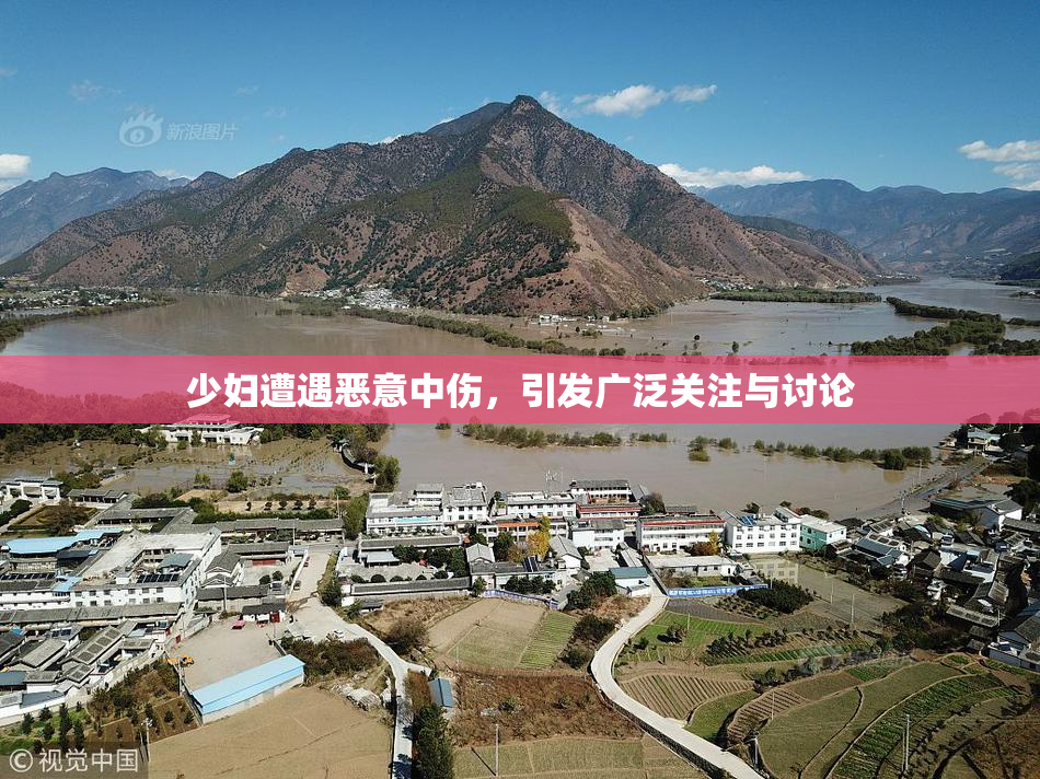 少妇遭遇恶意中伤，引发广泛关注与讨论