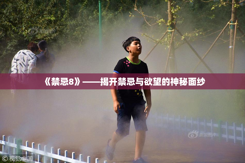 《禁忌8》——揭开禁忌与欲望的神秘面纱