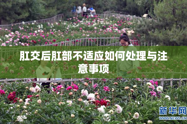 肛交后肛部不适应如何处理与注意事项