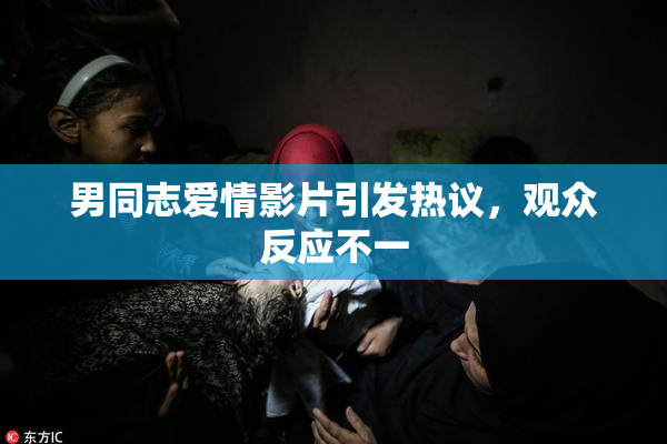 男同志爱情影片引发热议，观众反应不一