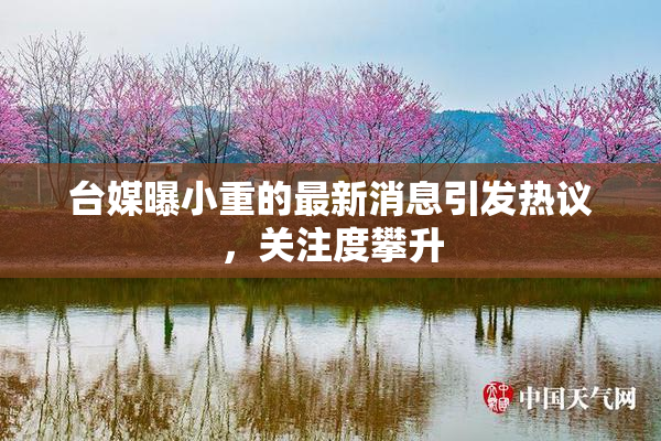 台媒曝小重的最新消息引发热议，关注度攀升