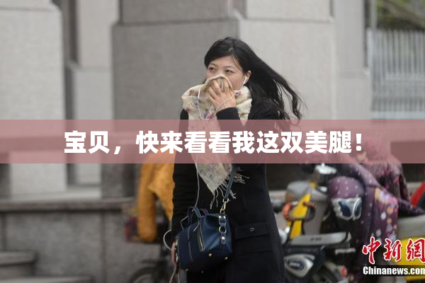 宝贝，快来看看我这双美腿！
