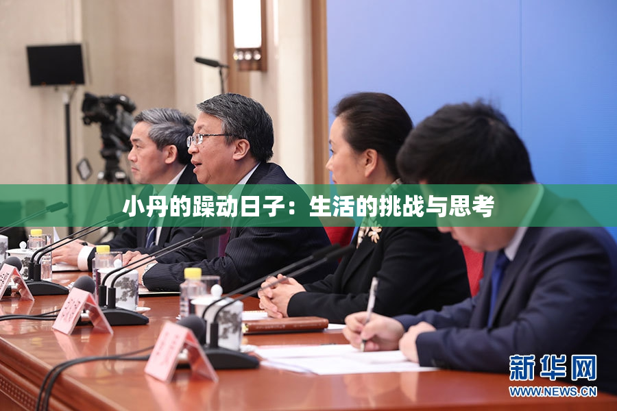 小丹的躁动日子：生活的挑战与思考