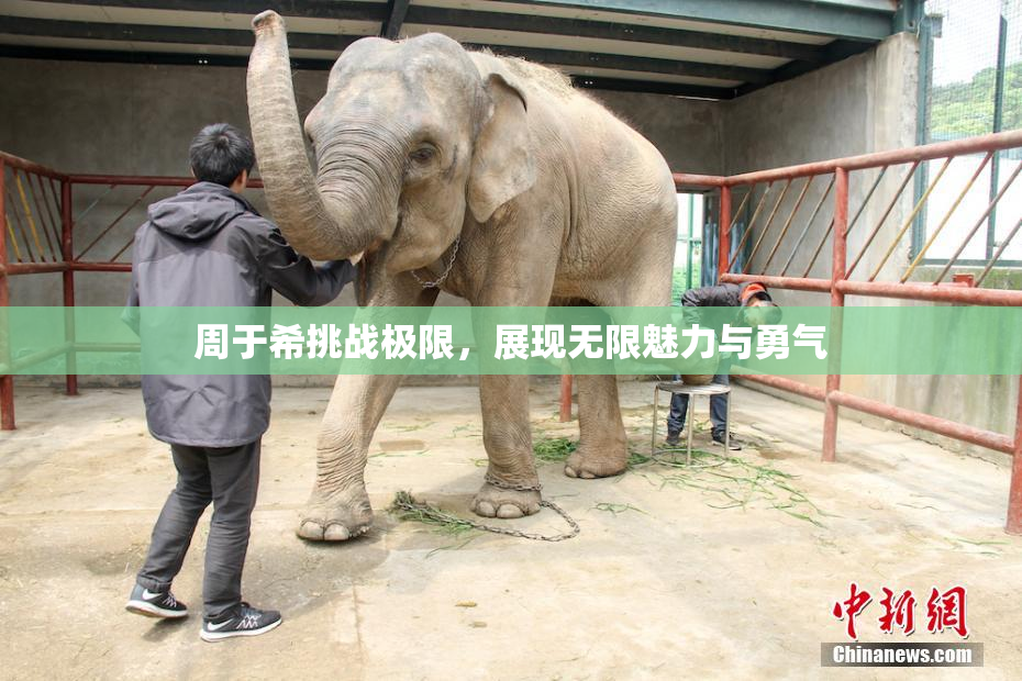 周于希挑战极限，展现无限魅力与勇气