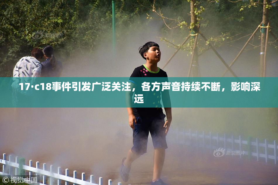 17·c18事件引发广泛关注，各方声音持续不断，影响深远