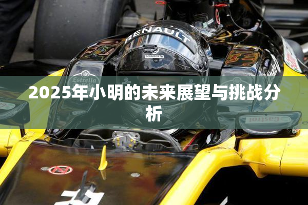 2025年小明的未来展望与挑战分析