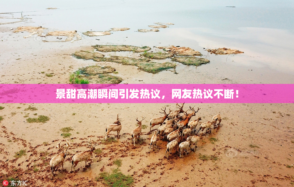 景甜高潮瞬间引发热议，网友热议不断！