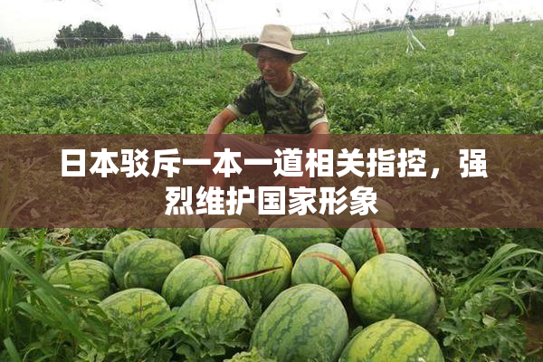 日本驳斥一本一道相关指控，强烈维护国家形象