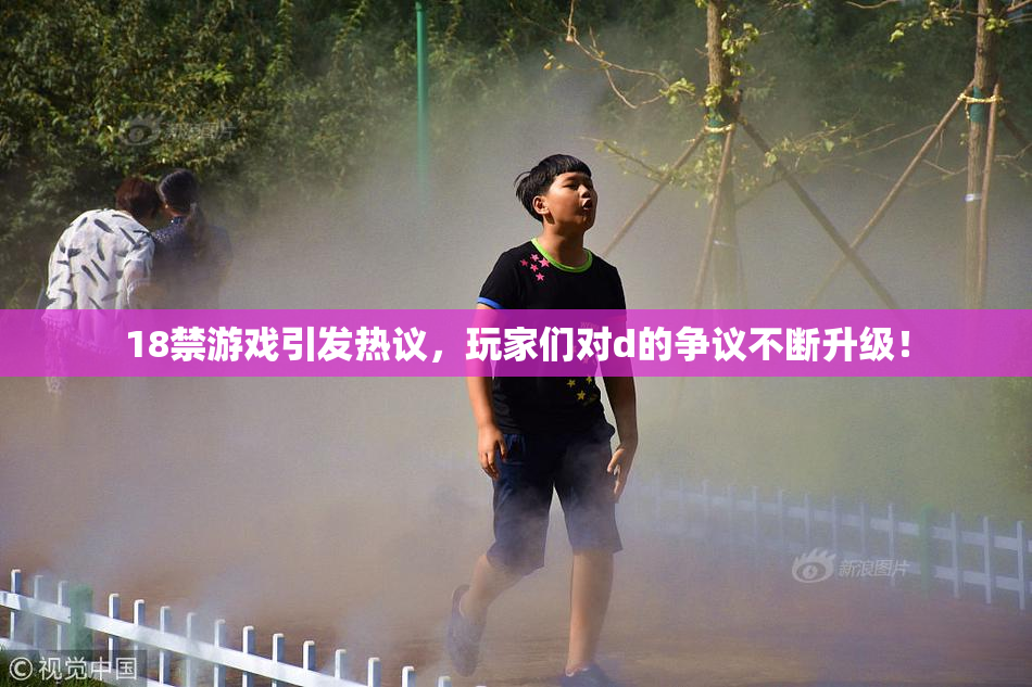 18禁游戏引发热议，玩家们对d的争议不断升级！