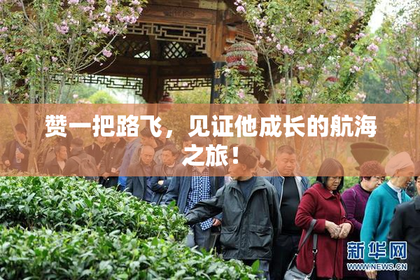 赞一把路飞，见证他成长的航海之旅！