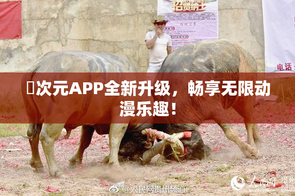 囧次元APP全新升级，畅享无限动漫乐趣！