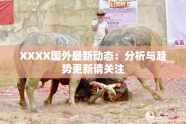 XXXX国外最新动态：分析与趋势更新请关注