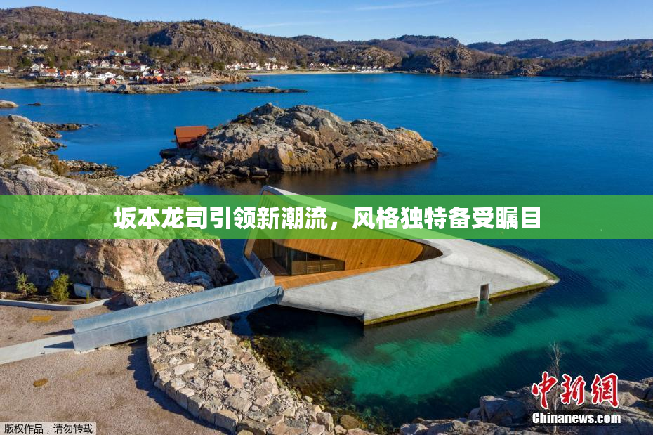 坂本龙司引领新潮流，风格独特备受瞩目