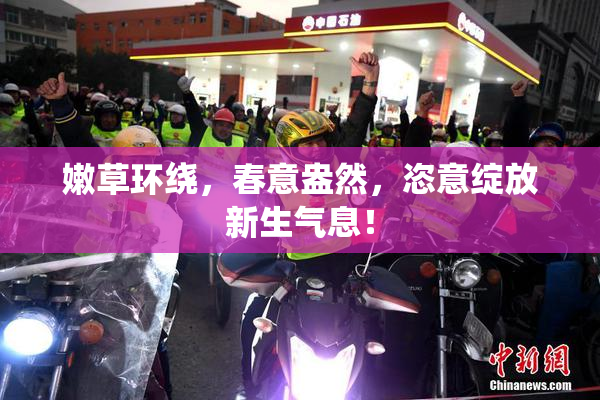 嫩草环绕，春意盎然，恣意绽放新生气息！