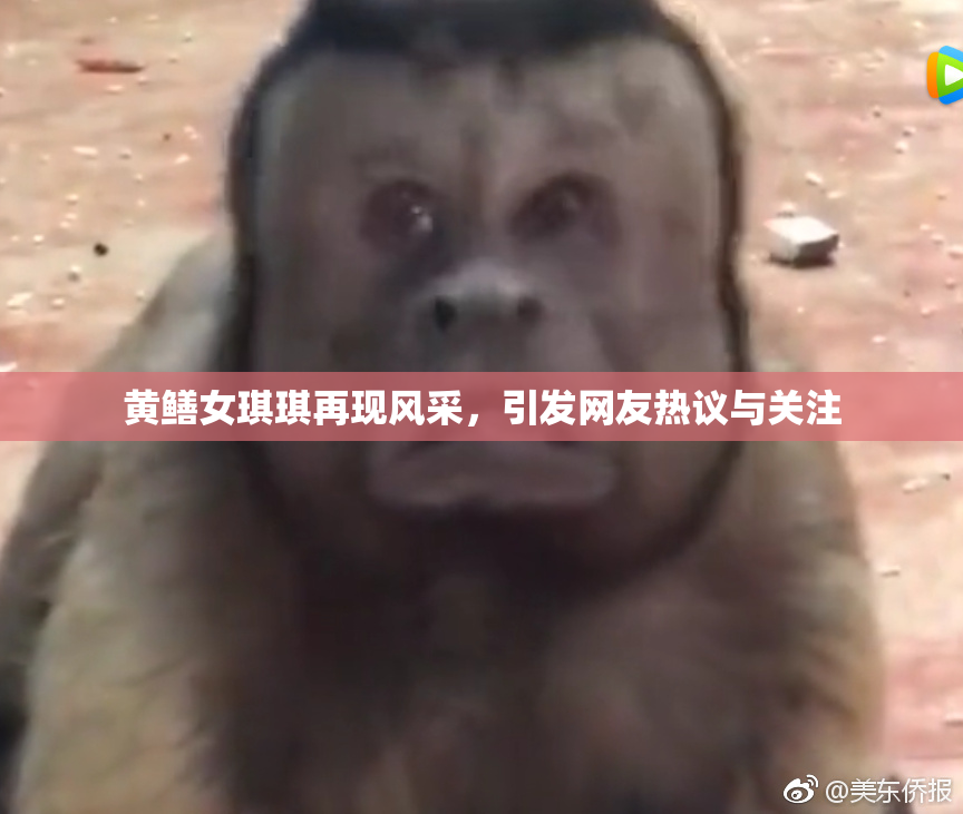 黄鳝女琪琪再现风采，引发网友热议与关注