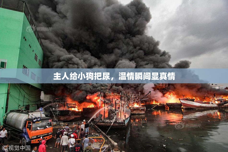 主人给小狗把尿，温情瞬间显真情