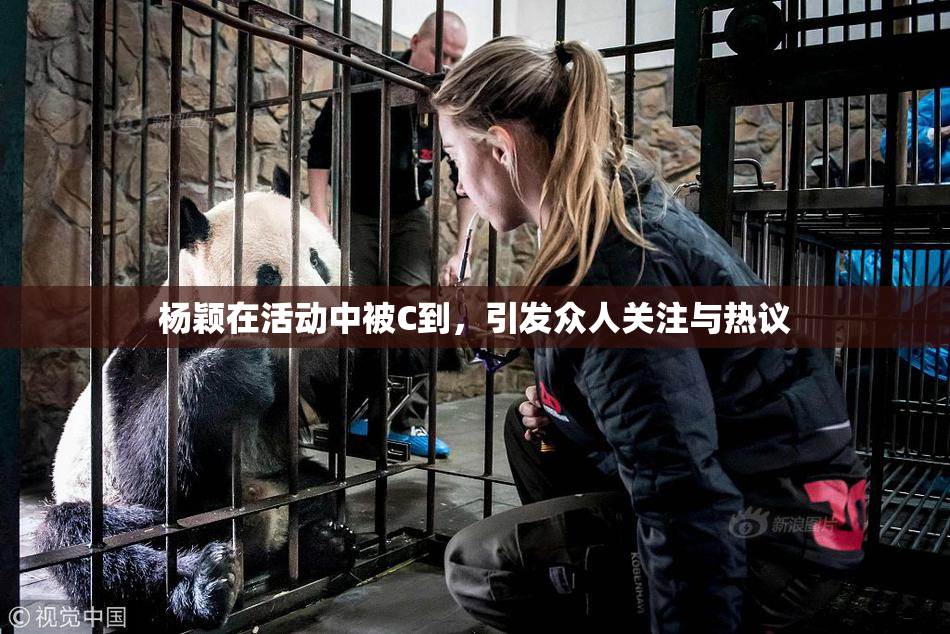 杨颖在活动中被C到，引发众人关注与热议