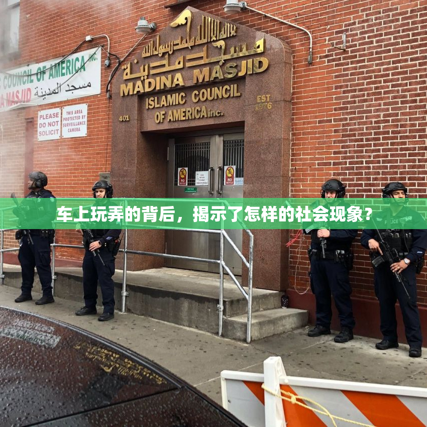 车上玩弄的背后，揭示了怎样的社会现象？