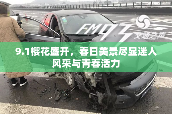 9.1樱花盛开，春日美景尽显迷人风采与青春活力