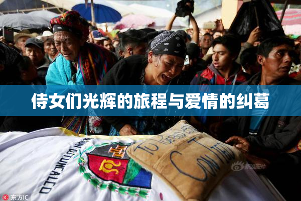 侍女们光辉的旅程与爱情的纠葛