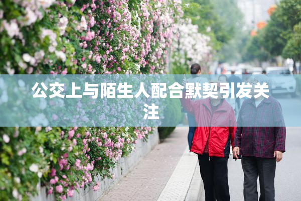 公交上与陌生人配合默契引发关注